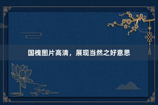 国槐图片高清，展现当然之好意思