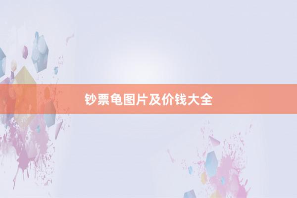 钞票龟图片及价钱大全